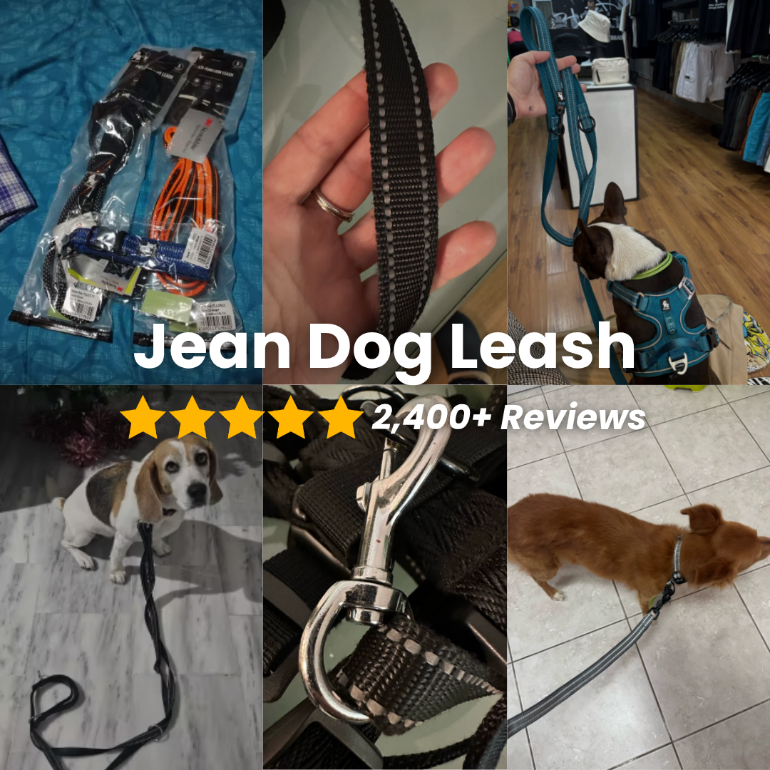 Urban Jean Dog Leash