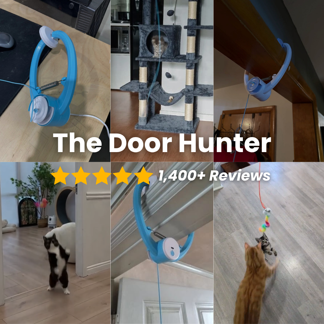 The Door Hunter