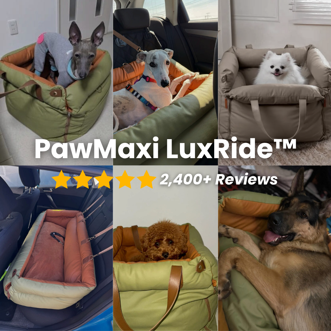 LuxRide™