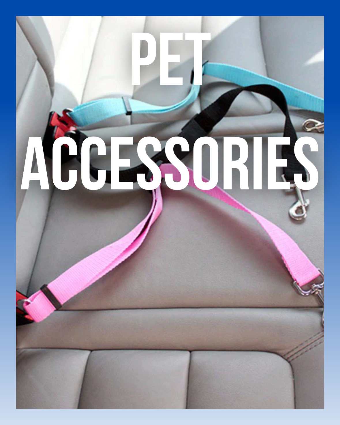 Pet Accessories