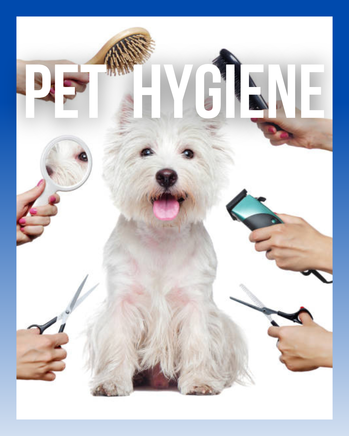 Pet Hygiene