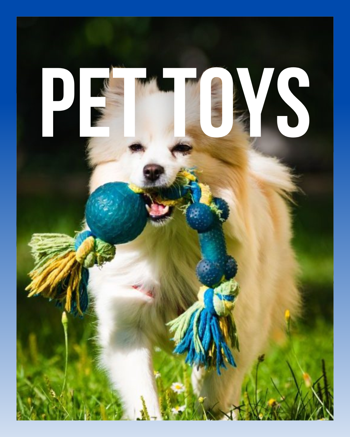 Pet Toys