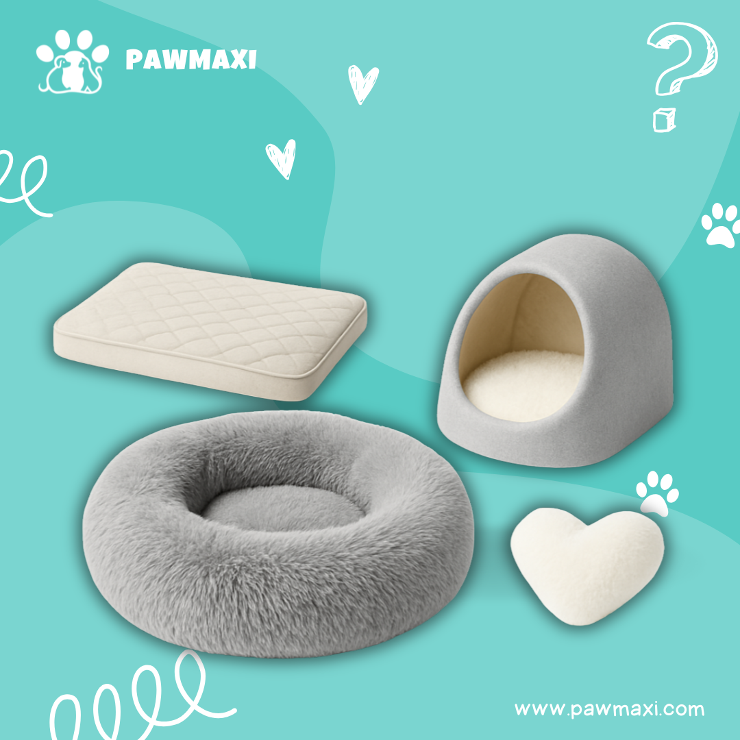 Beds & Comfort