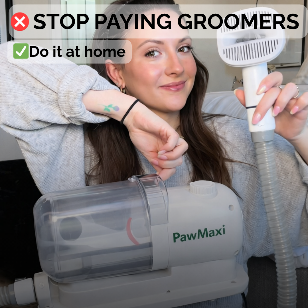MaxiGroom Pro