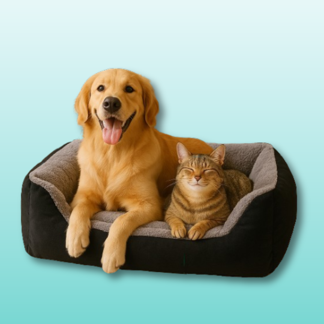 🛏️ SnuggleNest™ Plush Pet Bed