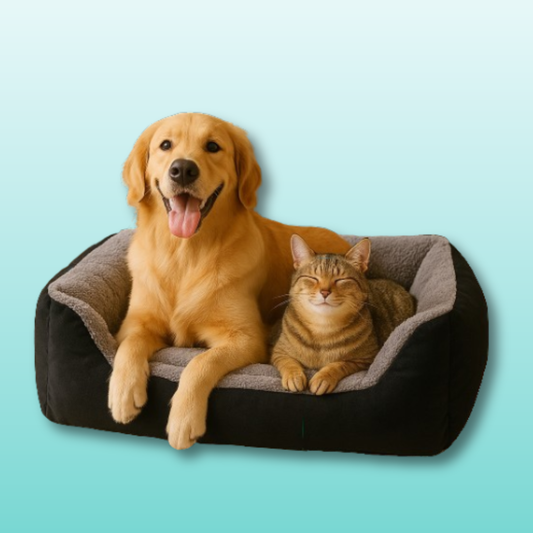 🛏️ SnuggleNest™ Plush Pet Bed