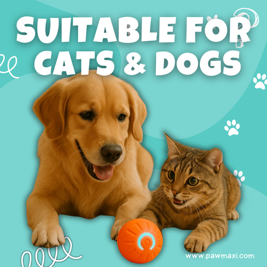Smart Dog Toy Ball