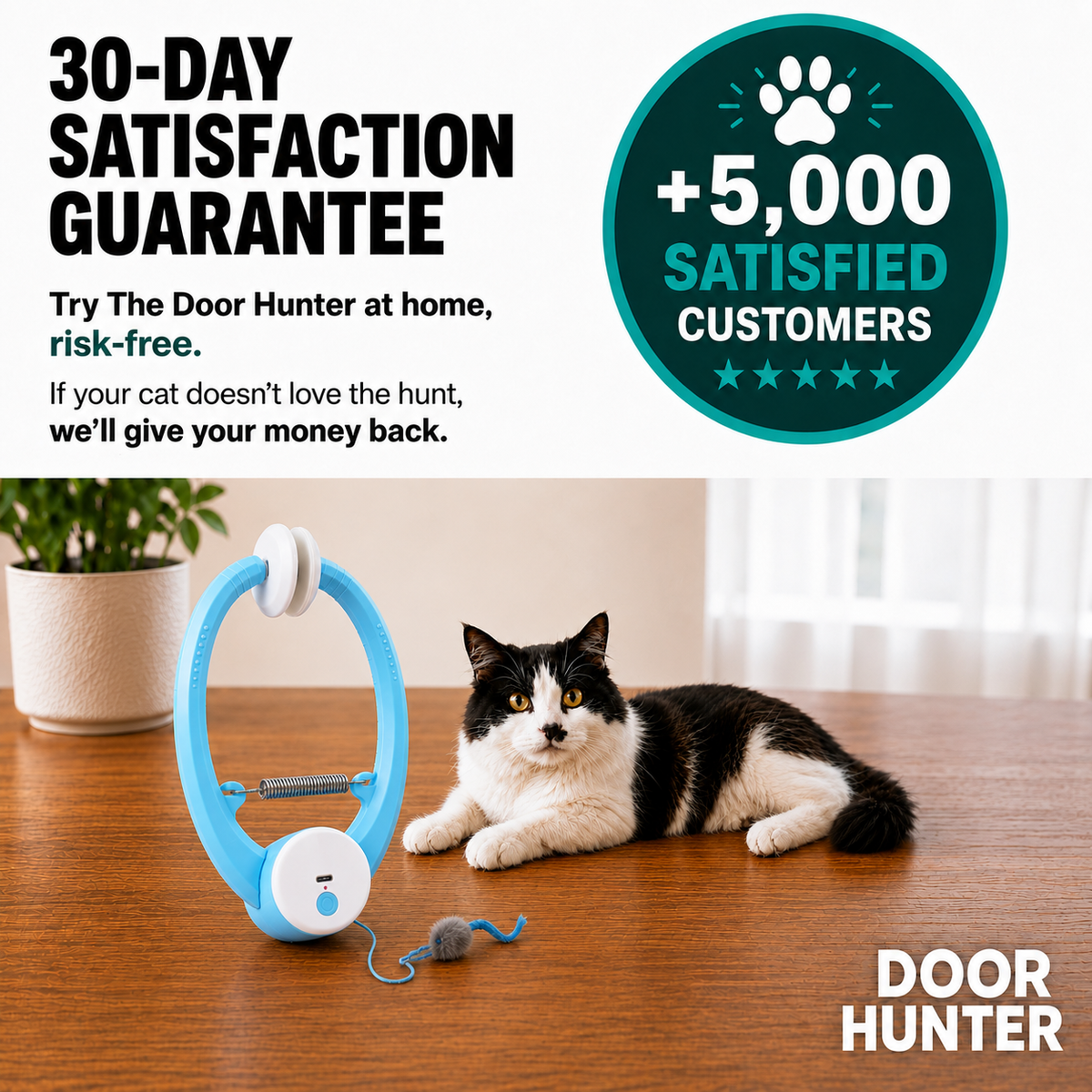 The Door Hunter