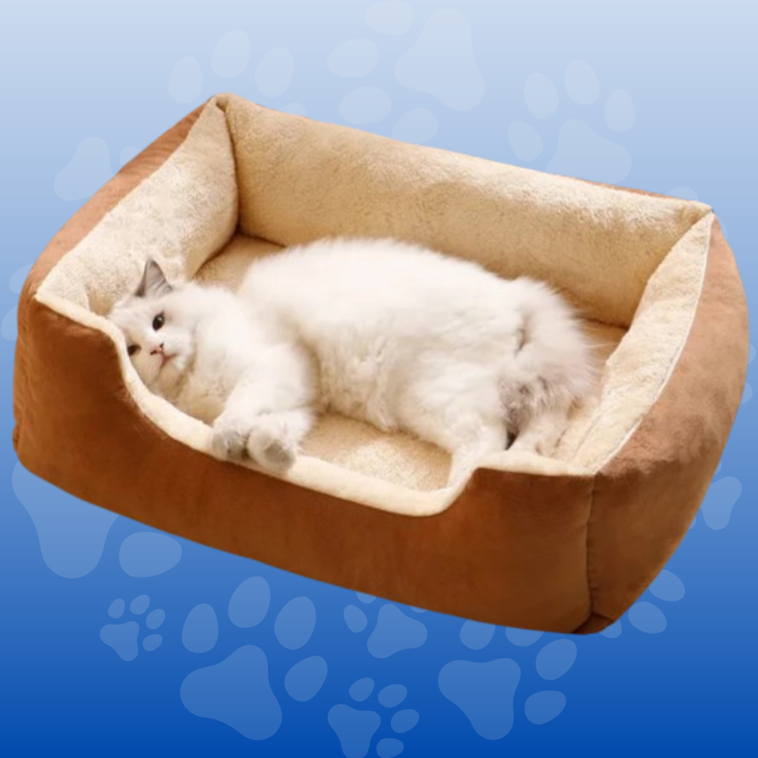 Cozy Plush Bed for Cats & Kittens