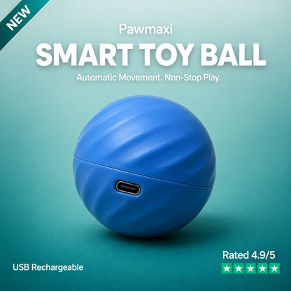 Smart Dog Toy Ball