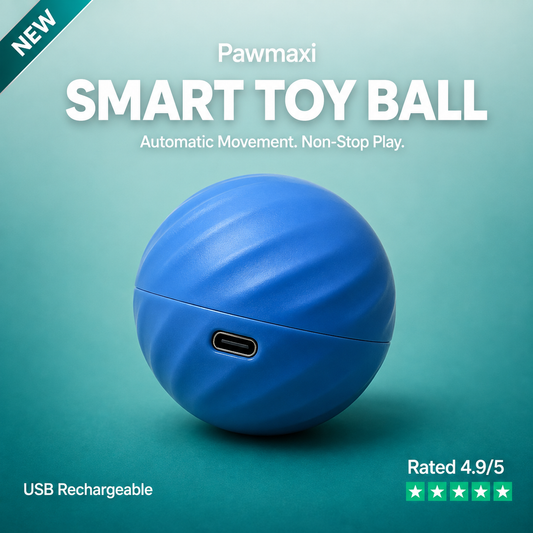 Smart Dog Toy Ball