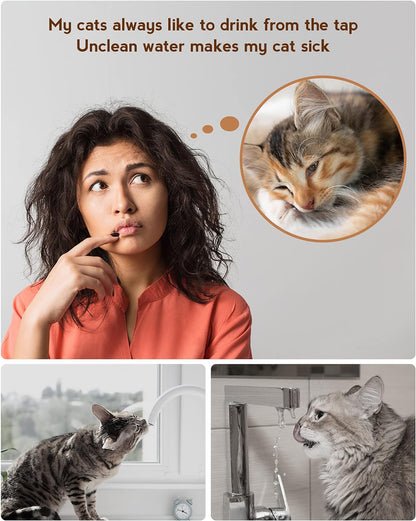 🐾 PawMaxi™ PureFlow 3.2L Stainless Steel Cat Fountain