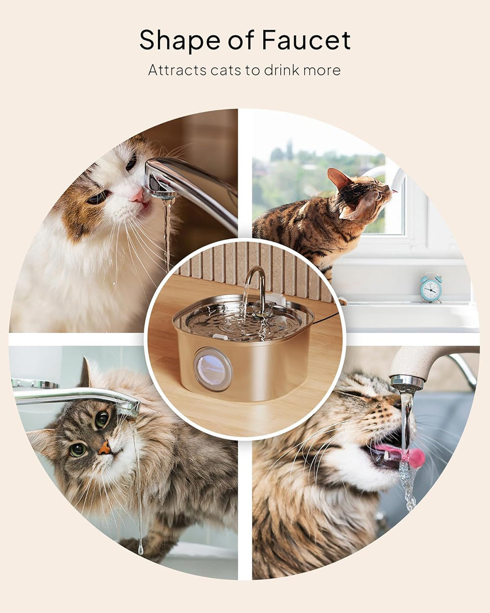 🐾 PawMaxi™ PureFlow 3.2L Stainless Steel Cat Fountain