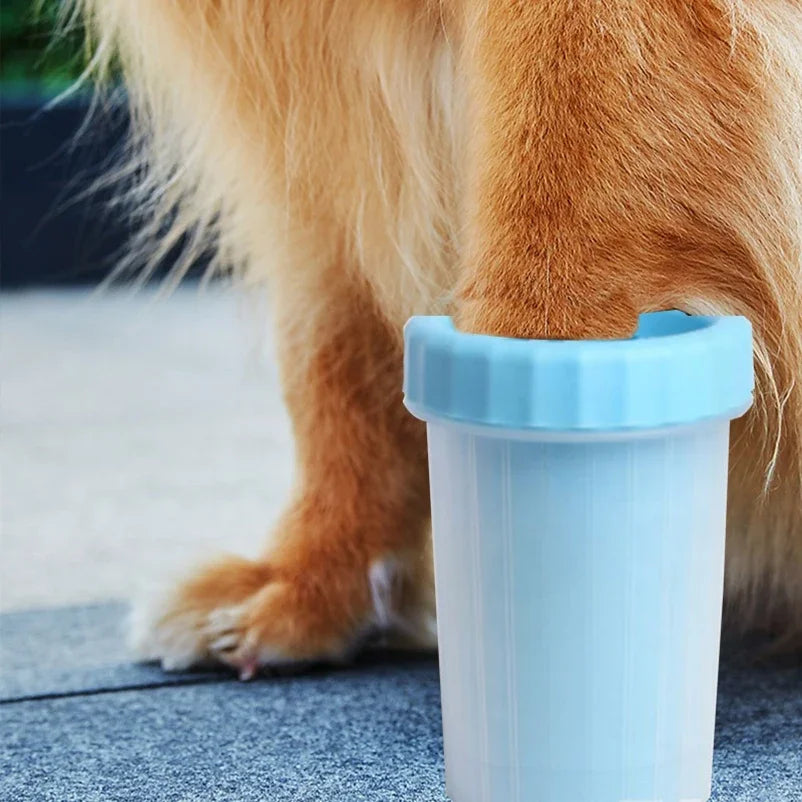 PAWWASH CUP